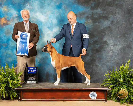 Boxer #10 Sat G1 Judge Houston Clark_SSR_8165_Ablne2019-HR