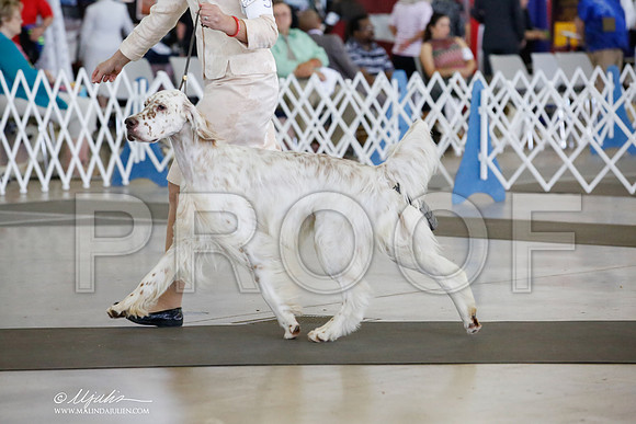 _CK_0828-DallasJul2014-HR3