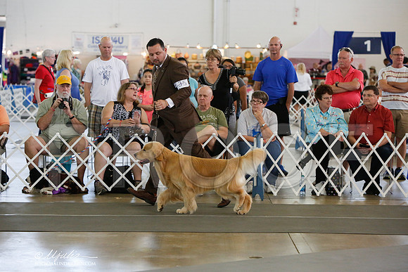 _JJ_1323-DallasJul2014-HR3
