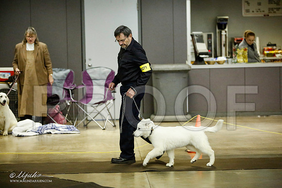 _JJ_6165-BeltonJan2015IABCA-HR3