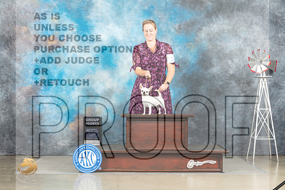 Chihuahua Smooth Coat #10 Thur G4 Judge Joan Liebes_MJ_3636_Amarillo_2022_HR3