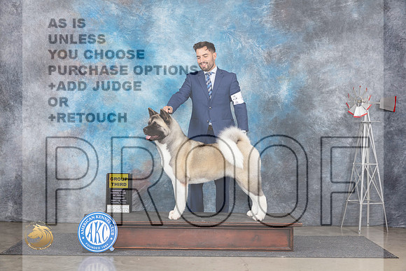 Akita #6 Thurs G3 Judge Denise Dean__JP_5007_Amarillo_2024_HR3