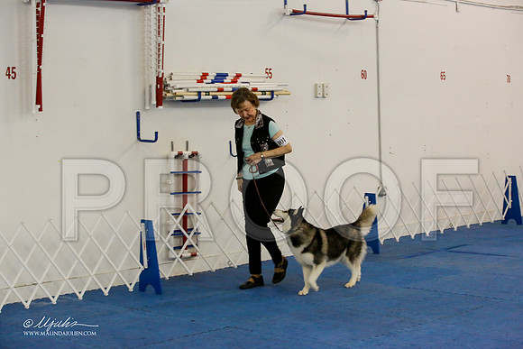 _M3_7721-AddisonHuskyMar2015-HR3
