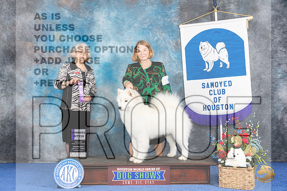 Samoyed #10 WED WB Judge Mary Ellen Ferguson__JP_7184_Houston_2024_HR3