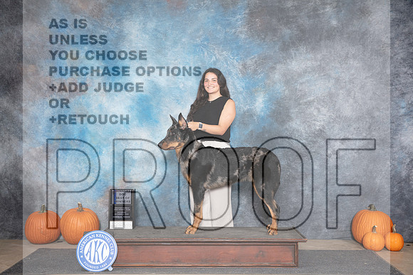 Beauceron #5 Sat BOW Judge Ray Filburn__JP_8717_Humble_2024_HR3