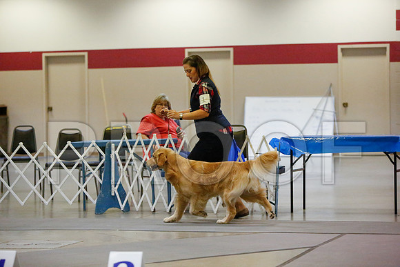 _JN_4553-AmarilloSept2014-HR3