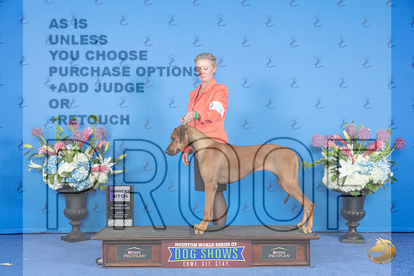Rhodesian Ridgeback #22 FRI WB Judge Angela Pickett__JP_8855_Houston_2024_HR3