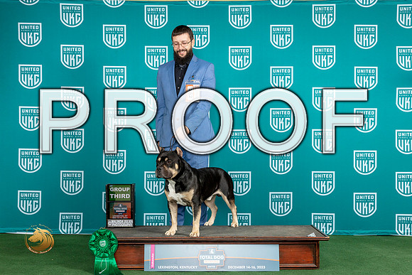 American Bully #152 Sat G3_JP_4588_UKCTDI_2023_HR3