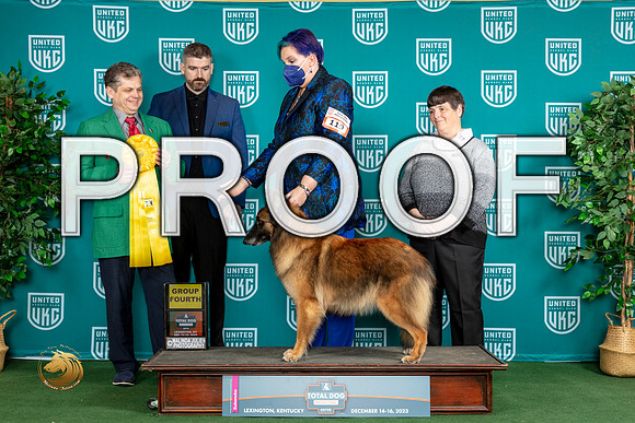 Belgian Shepherd #119 Sat G4_JP_4658_UKCTDI_2023_HR3
