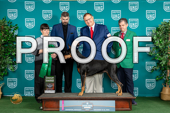 Doberman Pinscher #131 Sat G3_JP_4648_UKCTDI_2023_HR3