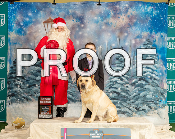 Labrador Retriever #137 Sat G2_JP_4509_UKCTDI_2023_HR3