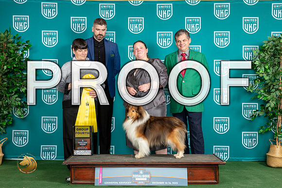 Shetland Sheepdog #146 Sat G4_JP_4721_UKCTDI_2023_HR3