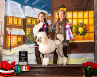 Standard Poodle Fri S1 BiS Bambi Kaminsky RESHOOT2