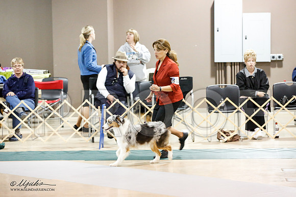 _JJ_3527-ASCACollegeStationNov2014-HR3