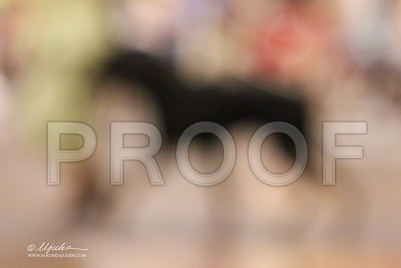 Dobe-1567 PROOF