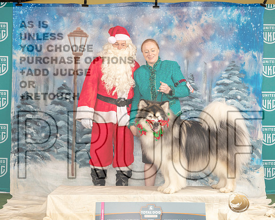 Alaskan Malamute #107 Sat_JP_4500_UKCTDI_2023_HR3