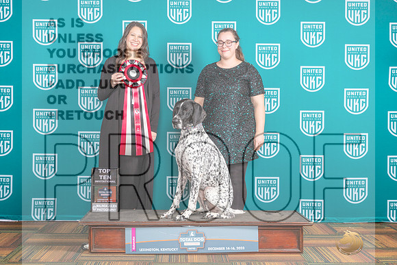 German Shorthaired Pointer #167 TopTen8_JP_8936_UKCTDI_2023_HR3