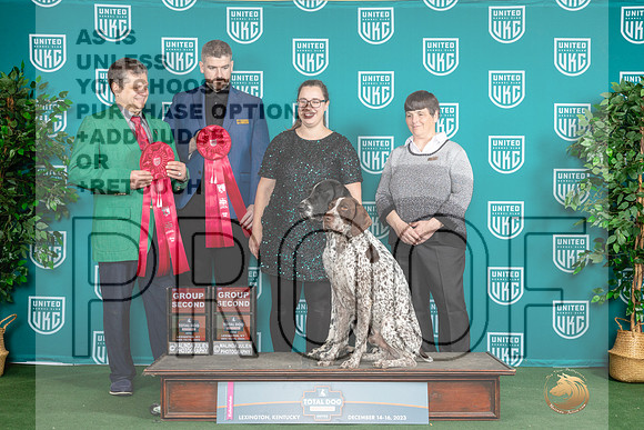 German Shorthaired Pointers #167 #168 Sat G2_JP_4780_UKCTDI_2023_HR3