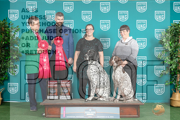 German Shorthaired Pointers #167 #168 Sat G2_JP_4783_UKCTDI_2023_HR3