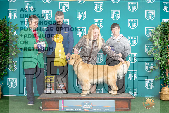 Golden Retriever #101 Sat G4_JP_4662_UKCTDI_2023_HR3