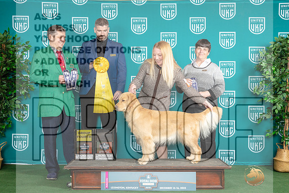 Golden Retriever #101 Sat G4_JP_4667_UKCTDI_2023_HR3