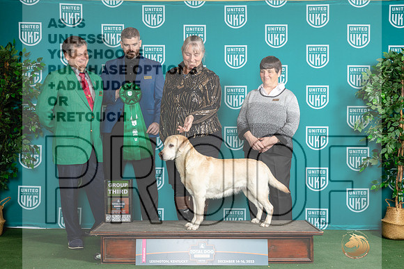 Labrador Retriever #151 Sat G3_JP_4799_UKCTDI_2023_HR3