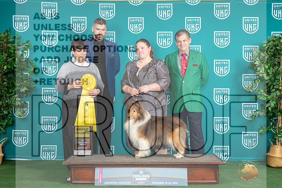 Shetland Sheepdog #146 Sat G4_JP_4719_UKCTDI_2023_HR3
