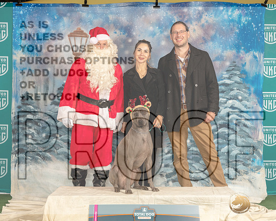 Thai Ridgeback #145 Sat G3_JP_4540_UKCTDI_2023_HR3