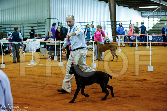 _RH_2562-MarshDec2014-HR