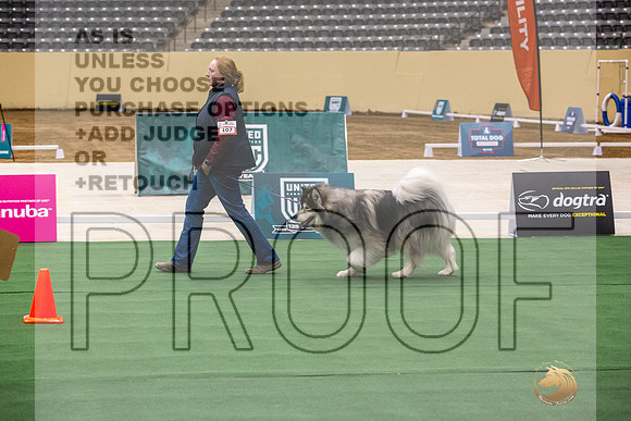 Alaskan Malamute #107 Thurs-JJL_1984_UKCTDI2023-HR3