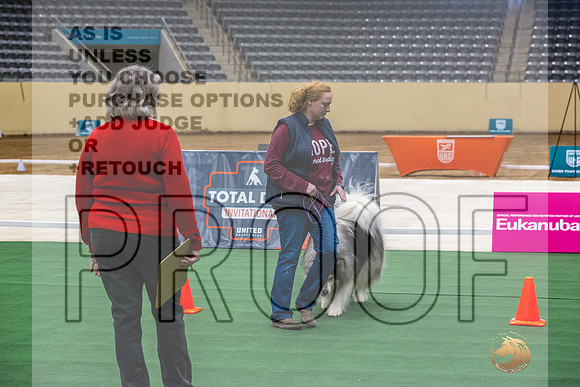 Alaskan Malamute #107 Thurs-JJL_1993_UKCTDI2023-HR3