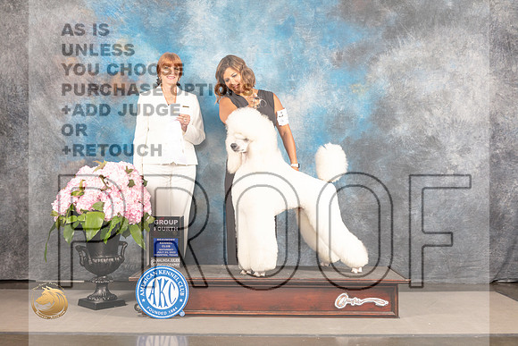 Poodle Std #31 Sat G4 Judge Linda Hurlebaus_MJ_7359_Houston_2022_HR3