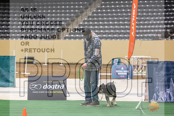 American Bully #152 Thurs-JJL_5852_UKCTDI2023-HR3