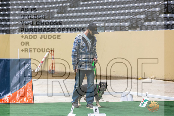 American Bully #152 Thurs-JJL_5855_UKCTDI2023-HR3