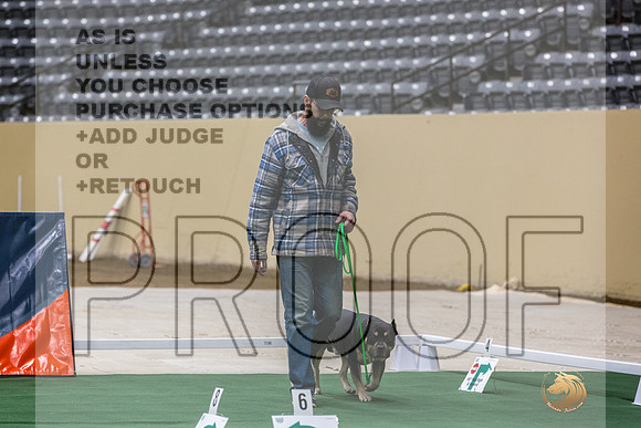 American Bully #152 Thurs-JJL_5856_UKCTDI2023-HR3