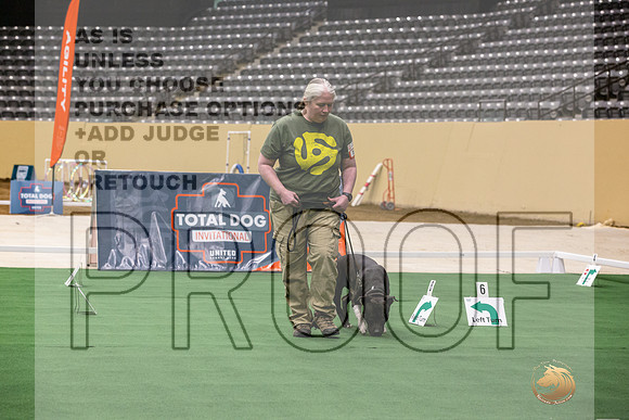 American Pit Bull Terrier #108 Thurs 3-JJL_6117_UKCTDI2023-HR3