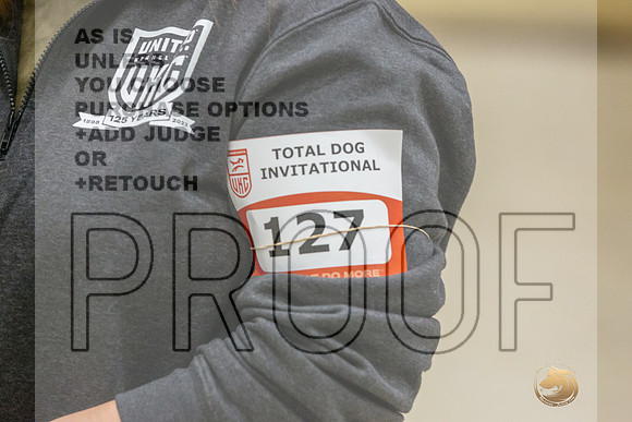American Pit Bull Terrier #127 Fri 1-JJL_6828_UKCTDI2023-HR3