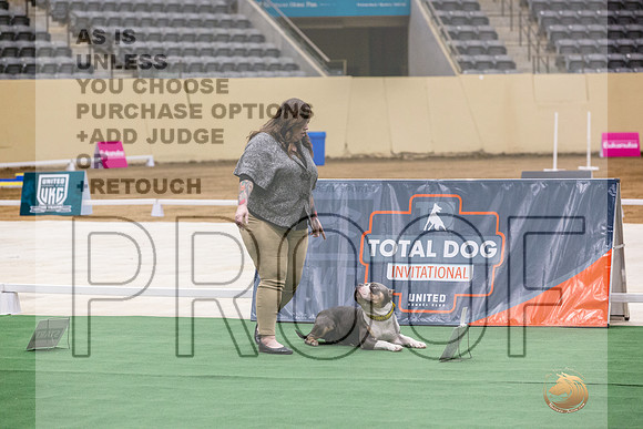 American Pit Bull Terrier #162 Thurs 2-JJL_5405_UKCTDI2023-HR3