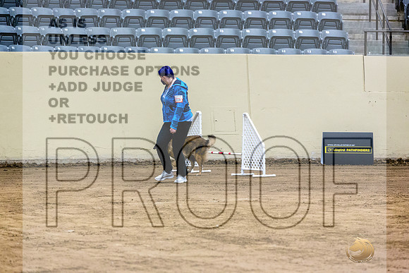 Belgian Tervuren #119 Fri 1-JJL_7167_UKCTDI2023-HR3