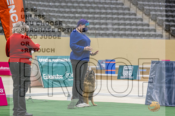 Belgian Tervuren #119 Thurs 2-JJL_6311_UKCTDI2023-HR3