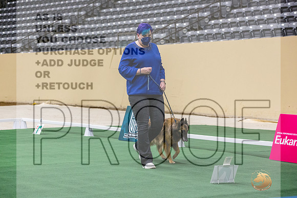 Belgian Tervuren #119 Thurs 2-JJL_6329_UKCTDI2023-HR3