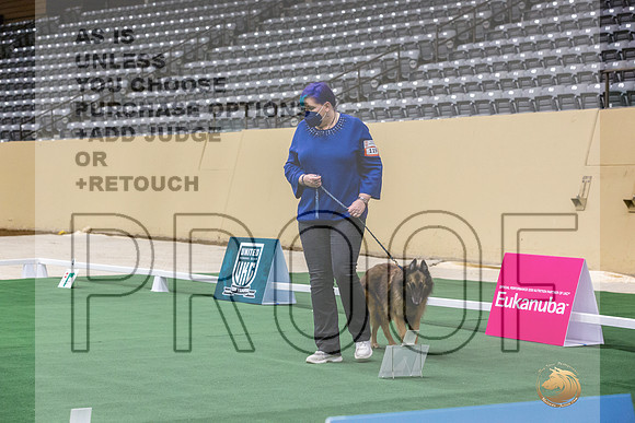 Belgian Tervuren #119 Thurs 2-JJL_6330_UKCTDI2023-HR3