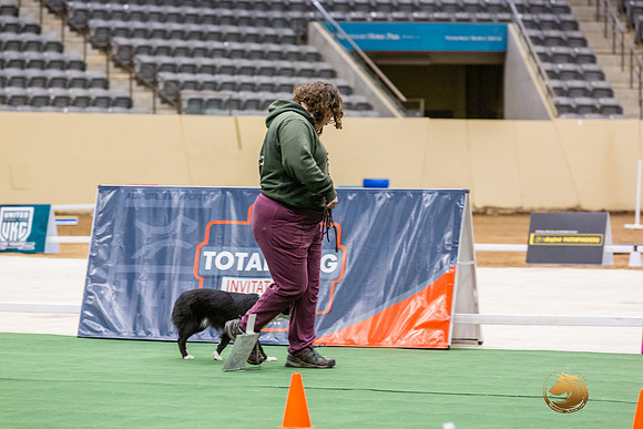 Border Collie #166 Thurs-JJL_6645_UKCTDI2023-HR3