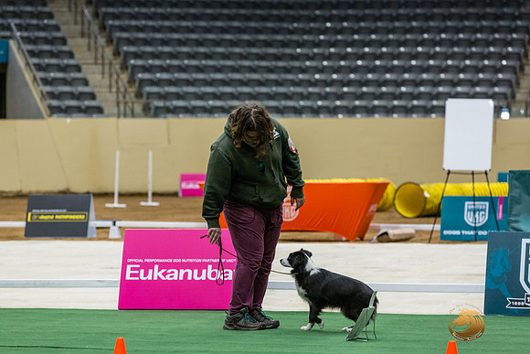 Border Collie #166 Thurs-JJL_6649_UKCTDI2023-HR3