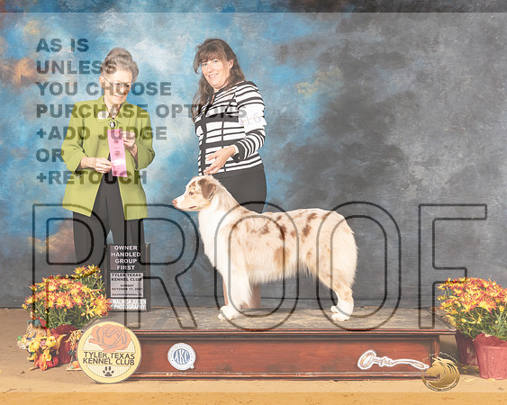 Australian Shepherd #16 Sun OHG1 Judge Beth Latchnitt_MMJ_2147_Tyler2021