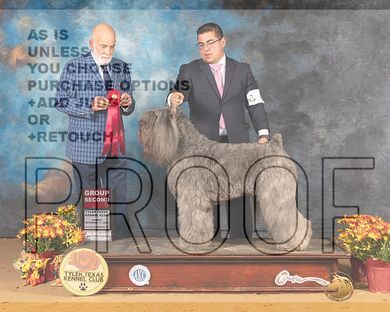 Bouvier #6 Sun G2 Judge Sam McDonald_MMJ_2131_Tyler2021