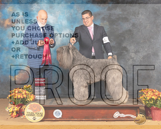 Bouvier #6 Sun G2 Judge Sam McDonald_MMJ_2133_Tyler2021