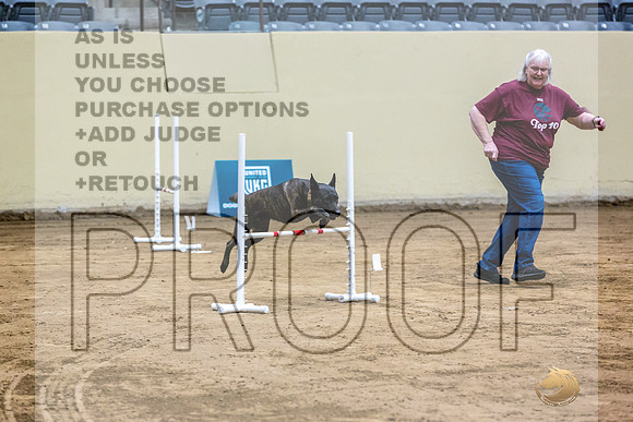 Dutch Shepherd #148 Fri 1-JJL_7302_UKCTDI2023-HR3