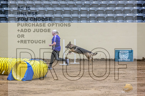 German Shepherd Dog #108 Fri 1-JJL_7286_UKCTDI2023-HR3