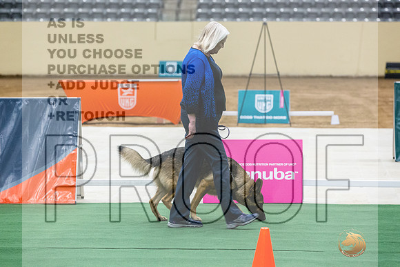 German Shepherd Dog #109 Thurs-JJL_1384_UKCTDI2023-HR3